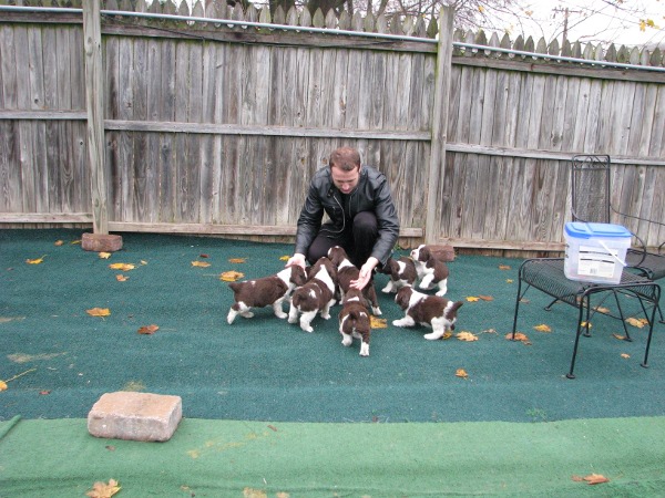 Back Yard Pups